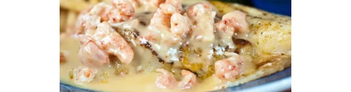 Pasta & Topping Sauces Pasta & Topping Sauces