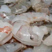 26/30 Gulf White Shrimp (P&D) 1 Pound Pack