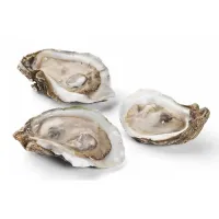 One Dozen Extra Fancy Half Shell Gulf Oysters