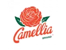 Camellia