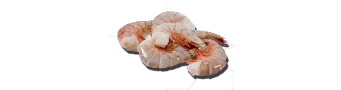 Shrimp - Gulf Shrimp