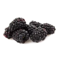 Ole Homestead - Blackberry Pepper Jelly 12 oz