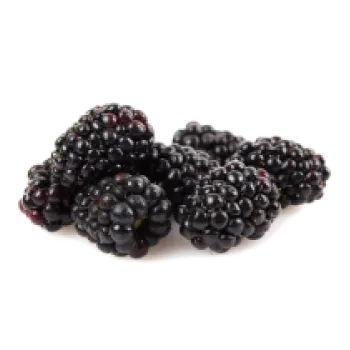 Ole Homestead - Blackberry Pepper Jelly