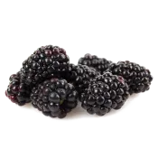 Ole Homestead - Blueberry Pepper Jelly