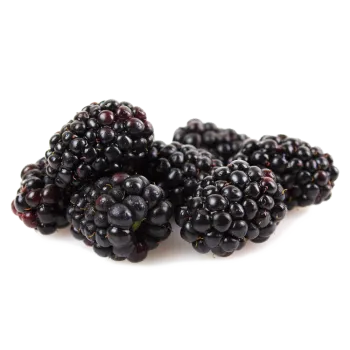 Ole Homestead - Blueberry Pepper Jelly