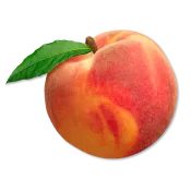 Ole Homestead - Peach Jelly Ole Homestead - Peach Jelly