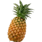 Ole Homestead - Pineapple Marmalade Ole Homestead - Pineapple Marmalade