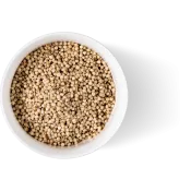 Ole Homestead Sorghum Molasses Ole Homestead Sorghum Molasses