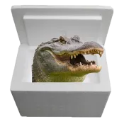 Louisiana Alligator Sampler Cooler