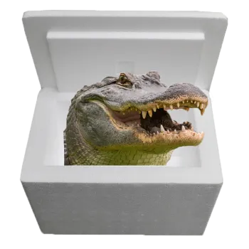 Louisiana Alligator Sampler Cooler
